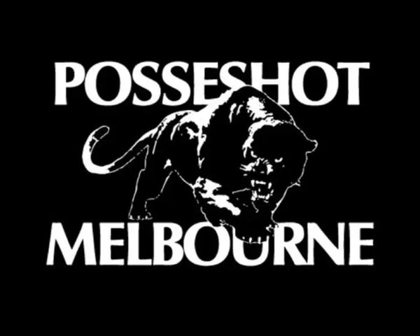 POSSESHOT